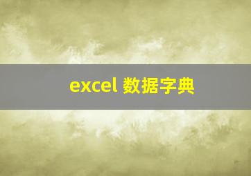 excel 数据字典